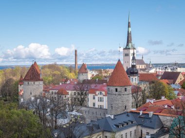 Eski Tallinn Estonya 'nın güzel manzarası