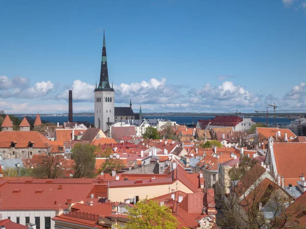 Krásný Výhled Starém Městě Tallinn Estonsko — Stock fotografie