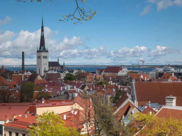 Krásný Výhled Starém Městě Tallinn Estonsko — Stock fotografie