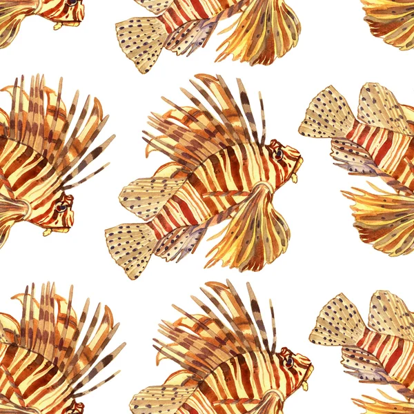 Suluboya balığı. Deniz balığı seti illüstrasyon beyaz arka plan üzerinde izole