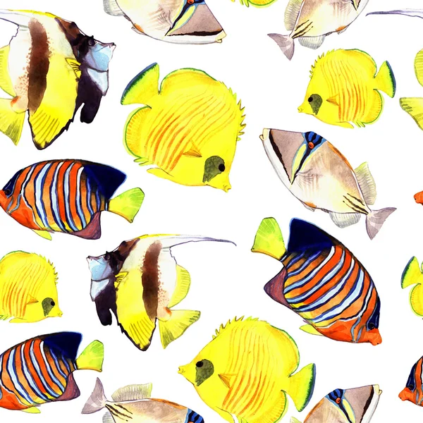 Pesce acquerello. Set di pesci di mare illustrazione isolato su sfondo bianco — Foto Stock