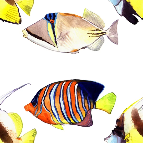 Peces acuarela. Ilustración del conjunto de peces marinos aislados sobre fondo blanco — Foto de Stock