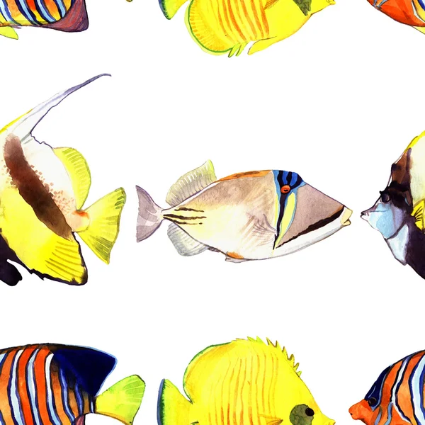 Poisson aquarelle. Illustration de poissons de mer isolés sur fond blanc — Photo