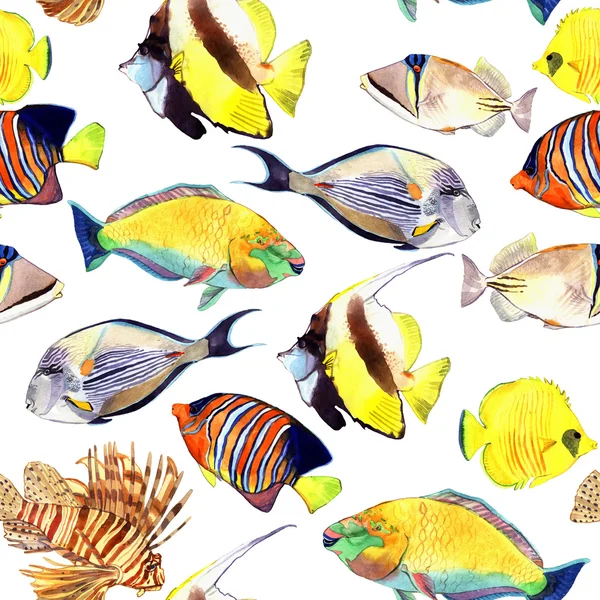 Poisson aquarelle. Illustration de poissons de mer isolés sur fond blanc — Photo