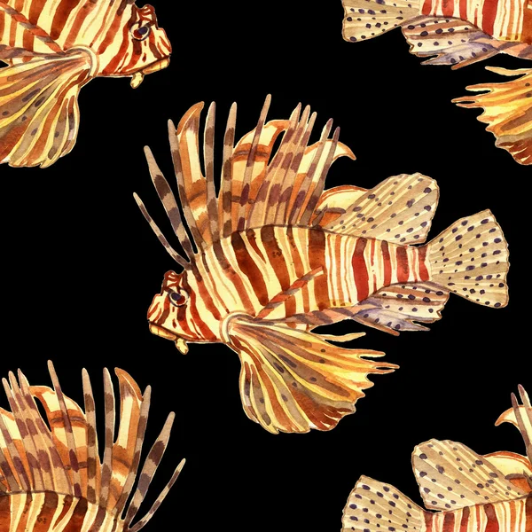 Poisson aquarelle. Illustration de poissons de mer isolés sur fond blanc — Photo