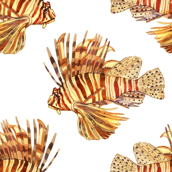 Peces acuarela. Ilustración del conjunto de peces marinos aislados sobre fondo blanco —  Fotos de Stock