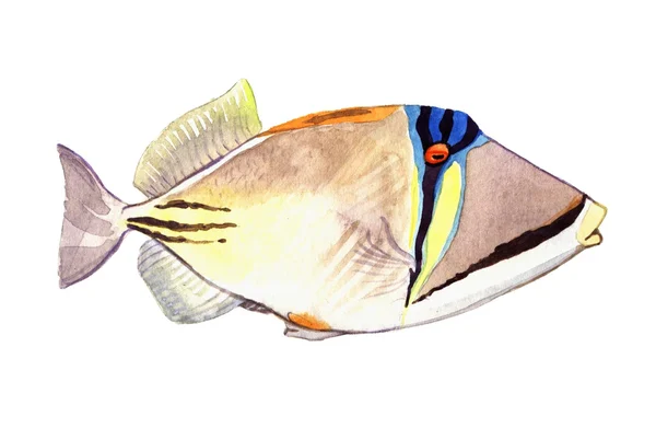Peces acuarela. Ilustración de peces marinos aislados sobre fondo blanco — Foto de Stock