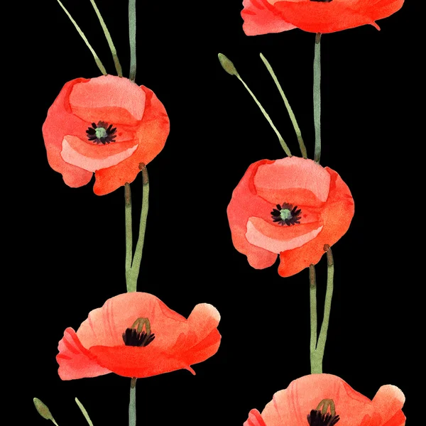Watercolor poppy, hand painted draw — Stock Photo, Image