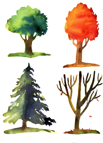 Watercolor illustration of trees — Stock Photo, Image