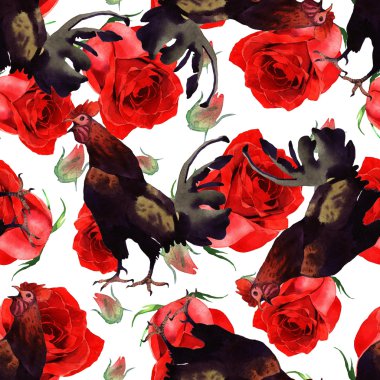 suluboya horoz illüstrasyon