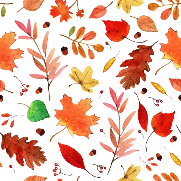 Акварель осінь Набір листя — стокове фото