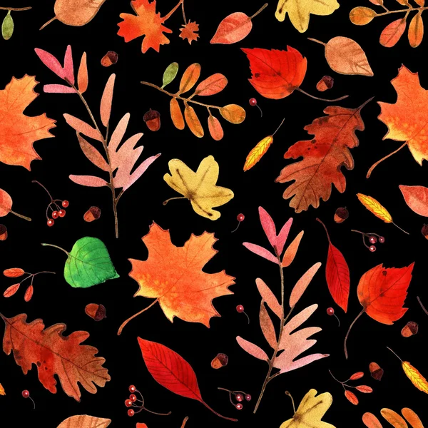Watercolor autumn leaves set — Stock Photo, Image