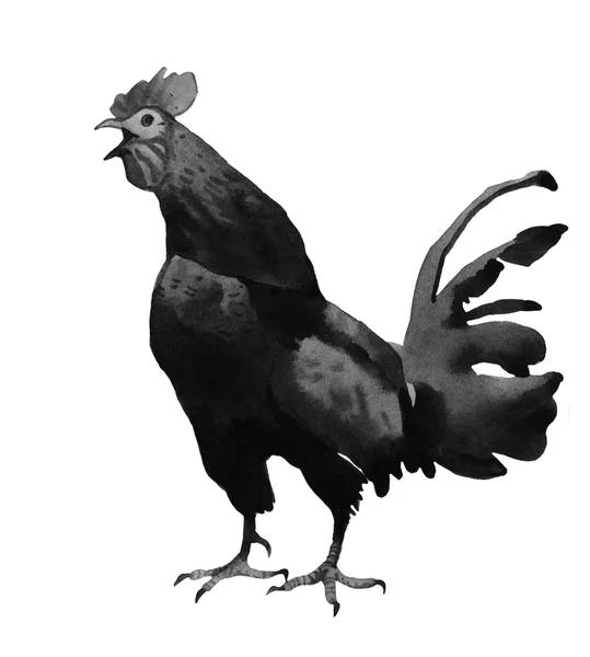 Acuarela gallo ilustración — Foto de Stock