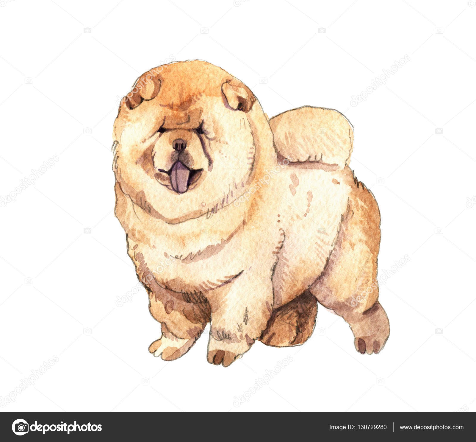 Watercolr Illustration Of Chow Chow Dog Isolated On White Background Funny Dog Showing Tongue Greeting Card Design Stock Photo By C Shat