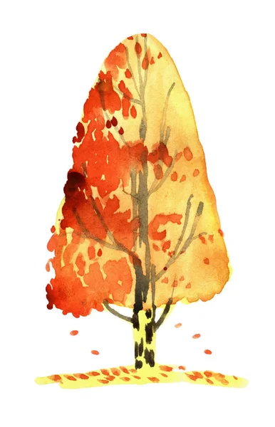 桦木的水彩插图 — 图库照片