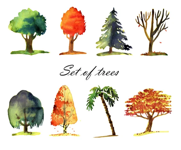 Акварельная иллюстрация деревьев — стоковое фото