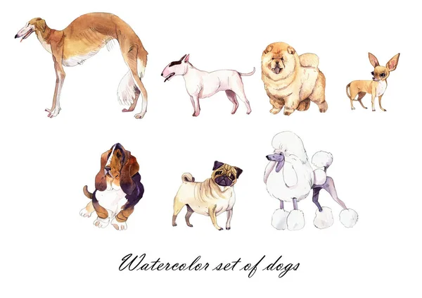 Sada akvarel ilustrace psů — Stock fotografie