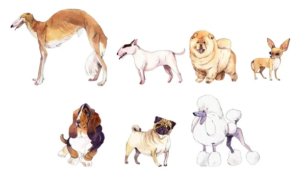 Ensemble d'illustration aquarelle de chiens — Photo