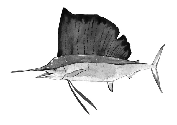 Akwarela ryba, ryba sailboad — Zdjęcie stockowe