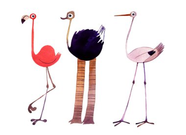 Suluboya kuş kümesi. Flamingo, devekuşu, leylek el illüstrasyon boyalı