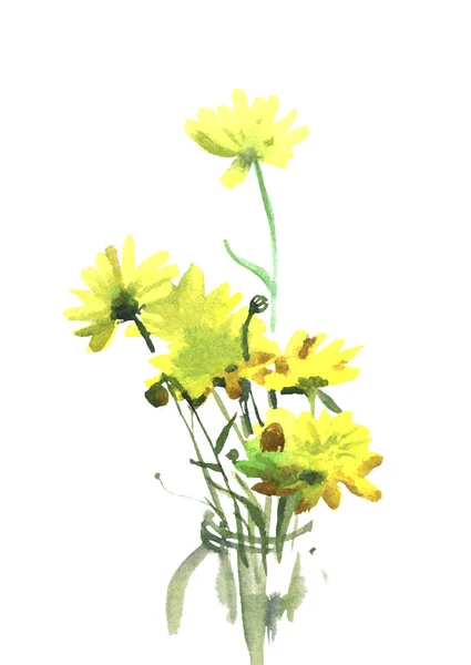 Acuarela flor amarillo, vector ilustración —  Fotos de Stock