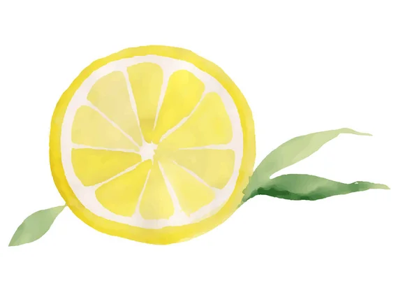 Акварельний лимон, Векторні ілюстрації — стокове фото