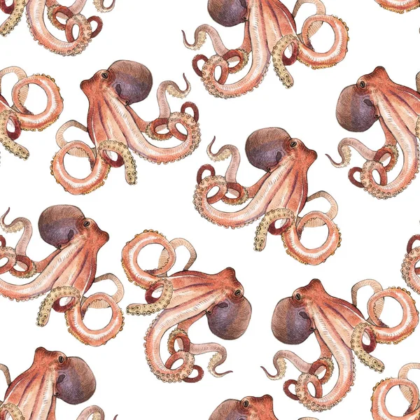 Aquarel octopus illustratie — Stockfoto