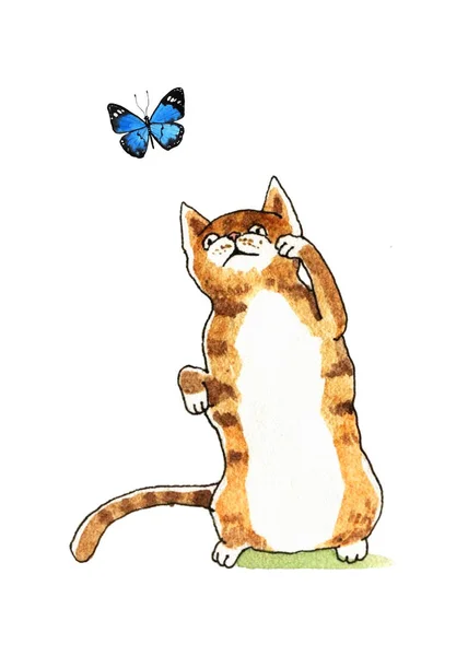 Akwarela kot i motyl — Zdjęcie stockowe