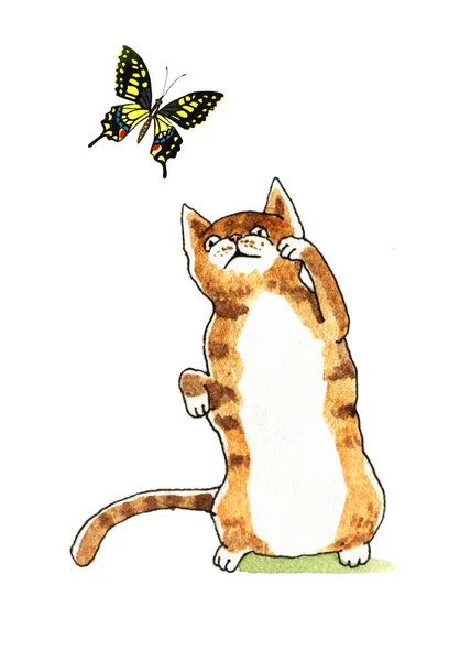 Acuarela gato y mariposa — Foto de Stock