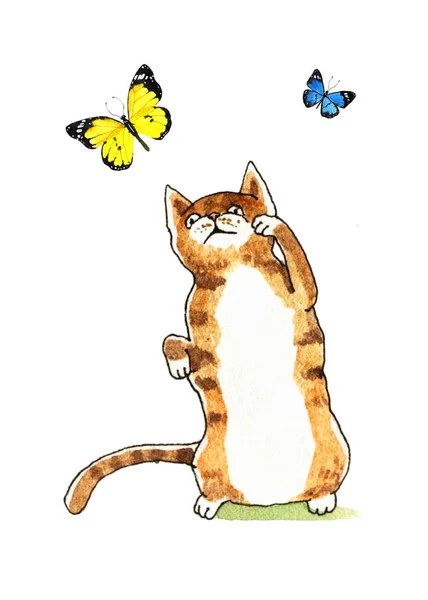 Acuarela gato y mariposa — Foto de Stock