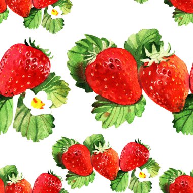 suluboya çilek illüstrasyon