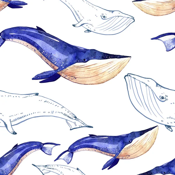 Illustration aquarelle de baleine, illustration peinte à la main isolée sur fond blanc — Photo