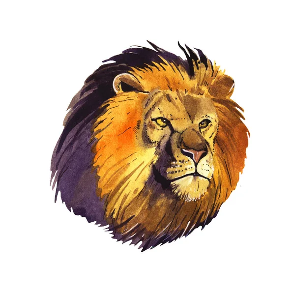 Watercolor lion illustration — Stock Photo, Image