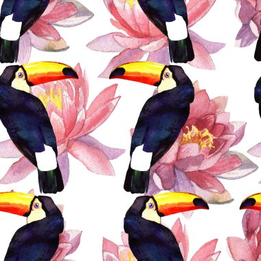 suluboya toucan illüstrasyon