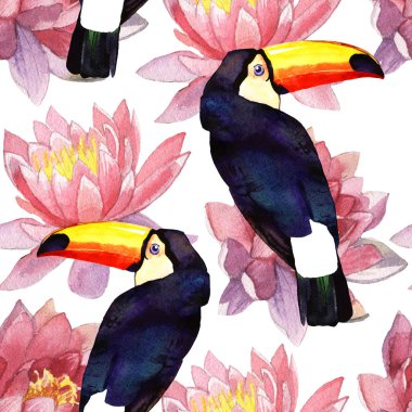 suluboya toucan illüstrasyon