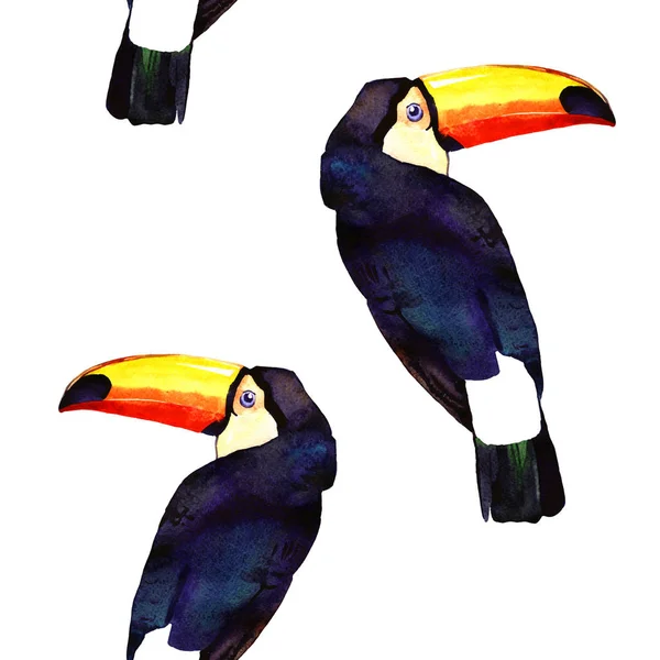 Ilustração tucano aquarela — Fotografia de Stock