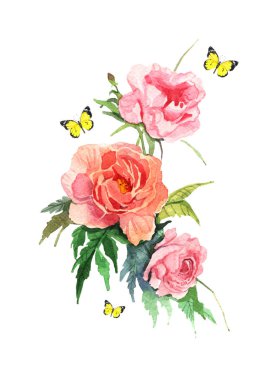 çiçek pembe Şakayık beyaz zemin üzerine suluboya çizimi