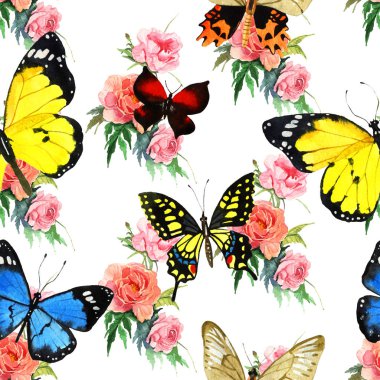 suluboya kelebek deseni