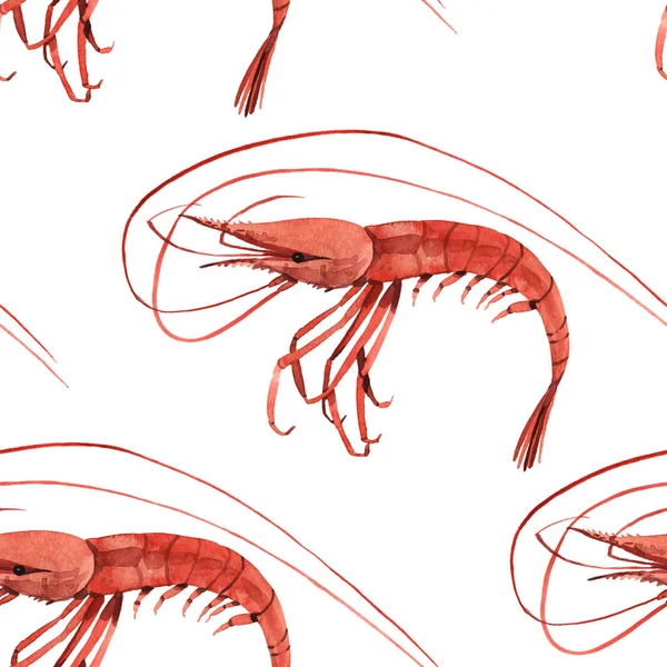 Акварельная иллюстрация креветок — стоковое фото