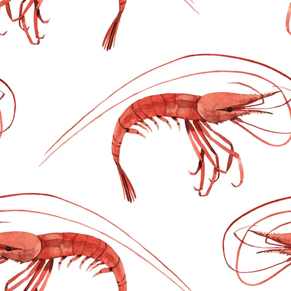 Watercolor illustration of shrimp
