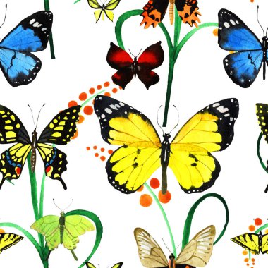 suluboya kelebek deseni 