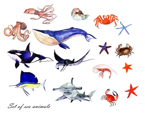 Conjunto aquarela de peixes do mar — Fotografia de Stock