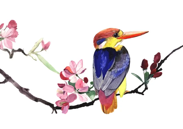 Acuarela ilustración de pequeño pájaro martín pescador —  Fotos de Stock