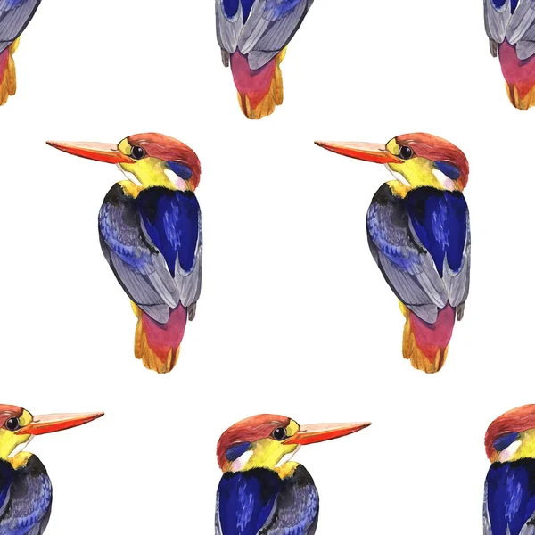 Watercolor illustration of small kingfisher bird — Stock Photo, Image