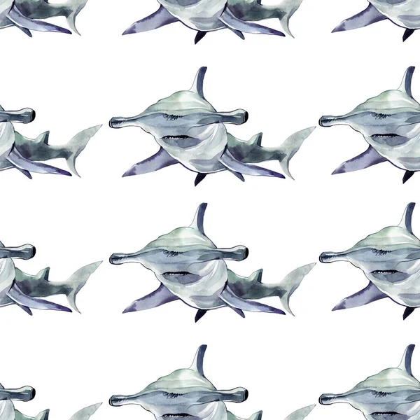 수채화 귀상어 상어입니다. 그림을 흰색 배경에 고립. — 스톡 사진
