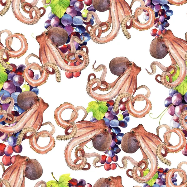 Akvarell polip és szőlő illusztráció — Stock Fotó