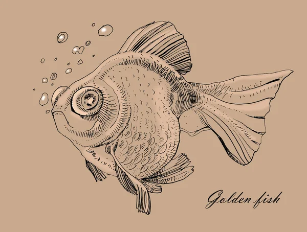 Zlatá rybka, ručně malovaný výkres obrys izolovaných na bílém b — Stock fotografie