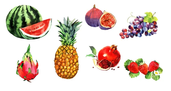 Acuarela conjunto de frutas exóticas, piña, granada, sandía —  Fotos de Stock