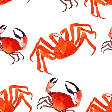 Beyaz arka plan üzerinde izole Yengeç suluboya çizimi