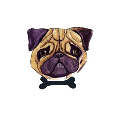 Beyaz arka plan üzerinde izole pug köpek suluboya çizimi.